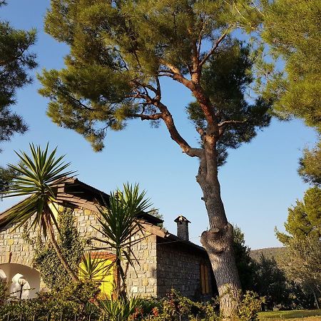 Villa Fior Di Lavanda Cisano sul Neva Dış mekan fotoğraf