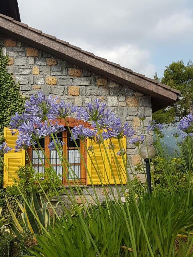 Villa Fior Di Lavanda Cisano sul Neva Dış mekan fotoğraf