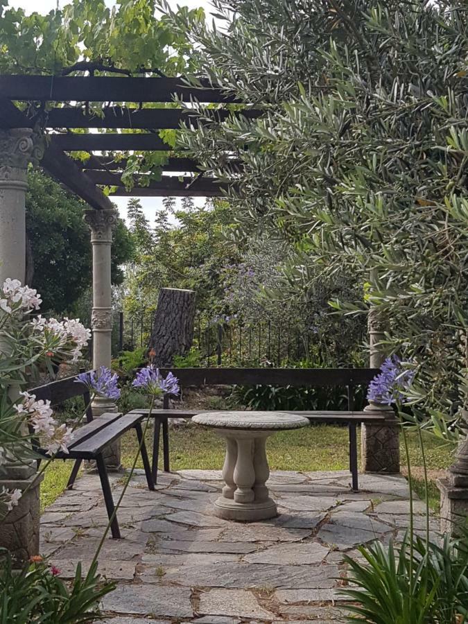 Villa Fior Di Lavanda Cisano sul Neva Dış mekan fotoğraf