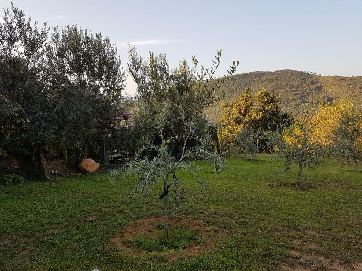 Villa Fior Di Lavanda Cisano sul Neva Dış mekan fotoğraf