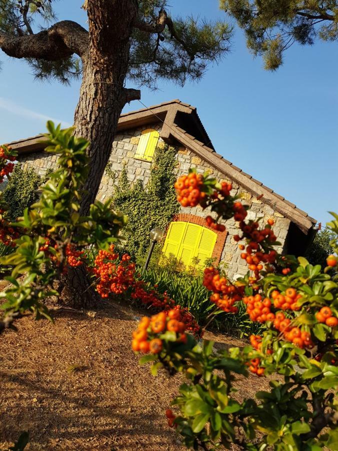 Villa Fior Di Lavanda Cisano sul Neva Dış mekan fotoğraf