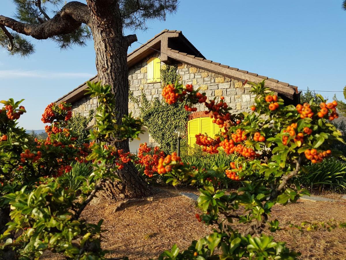 Villa Fior Di Lavanda Cisano sul Neva Dış mekan fotoğraf