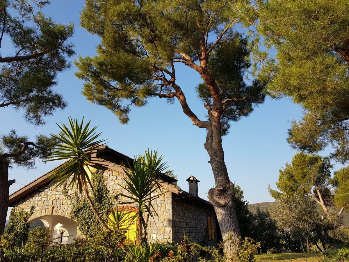 Villa Fior Di Lavanda Cisano sul Neva Dış mekan fotoğraf